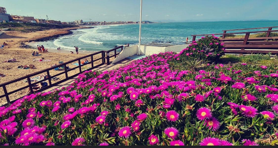 Ferienwohnung La Mata, Torrevieja Exterior foto